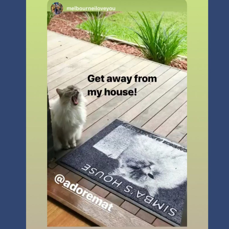 Cat Photo DoorMat - Adoremat