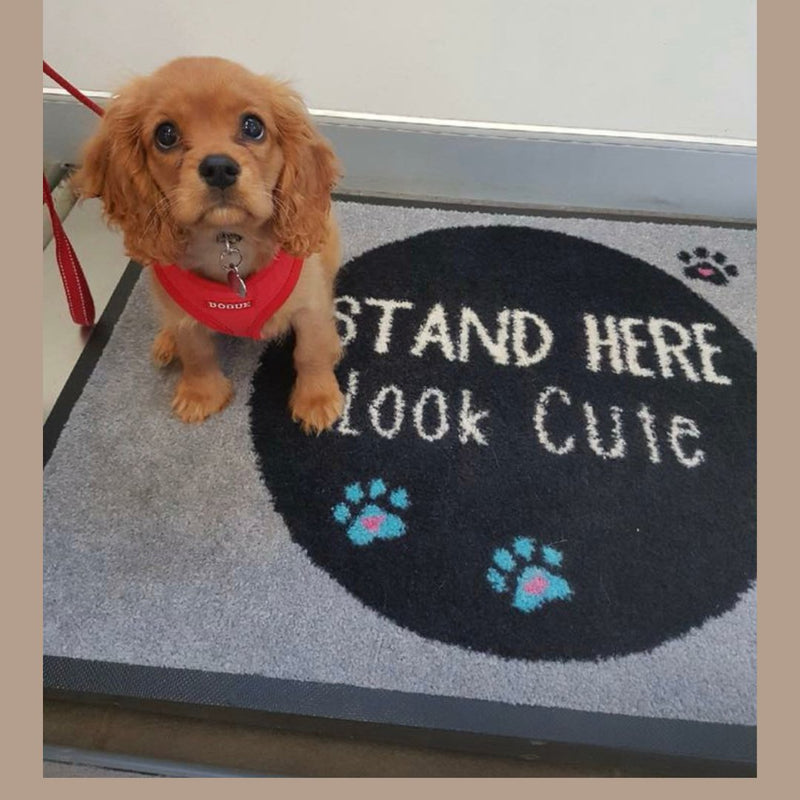 Scales Mat 60x90- "Stand Here, Look Cute" Great for Vet Clinics (SCALES NOT INCLUDED!) - Adoremat